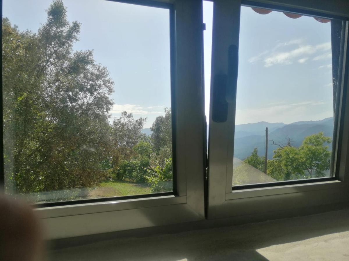 Casa Da Choqueira Villa Vieira do Minho Dış mekan fotoğraf
